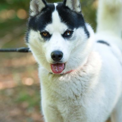Kira1