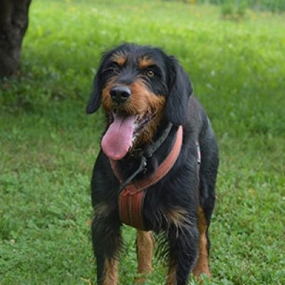atakan